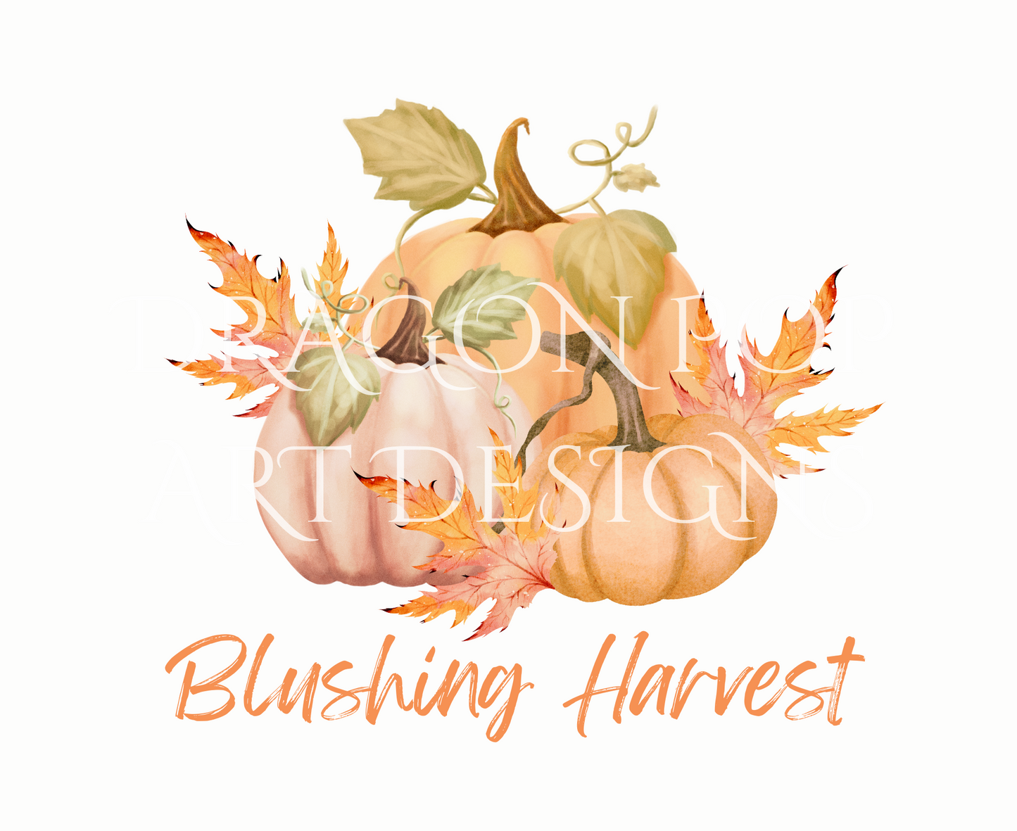 Blushing Harvest