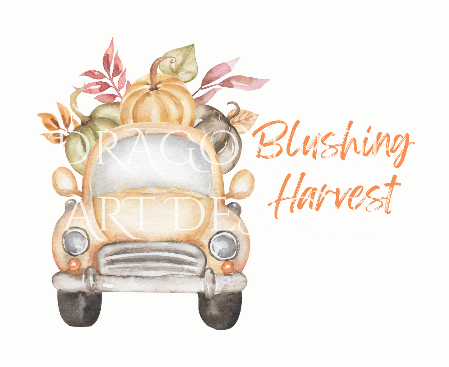 Blushing Harvest