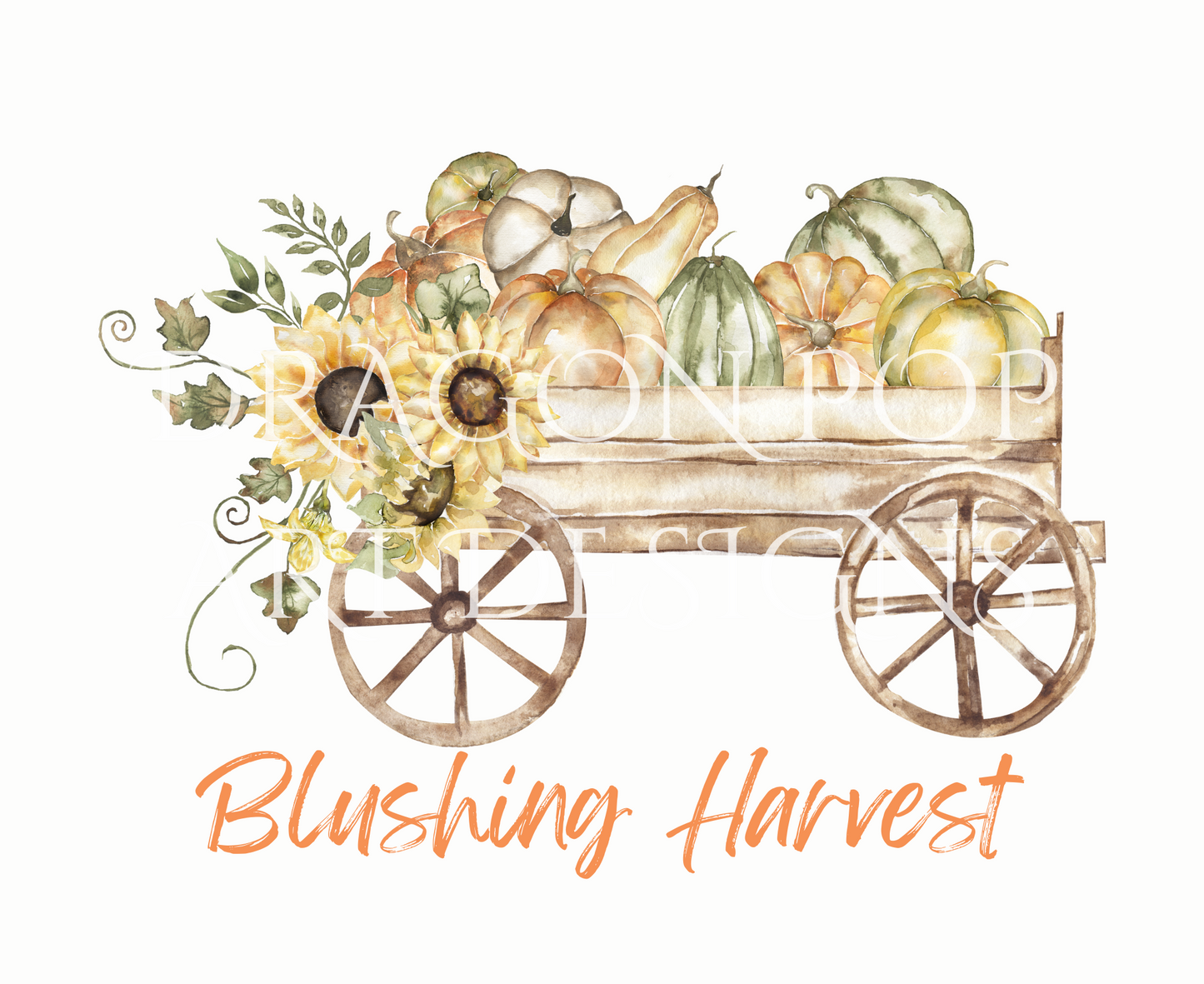 Blushing Harvest