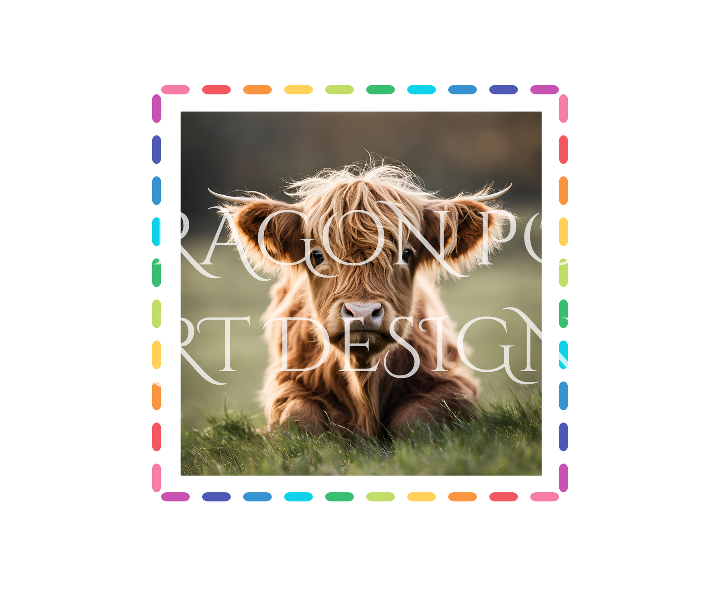 Highland Calf
