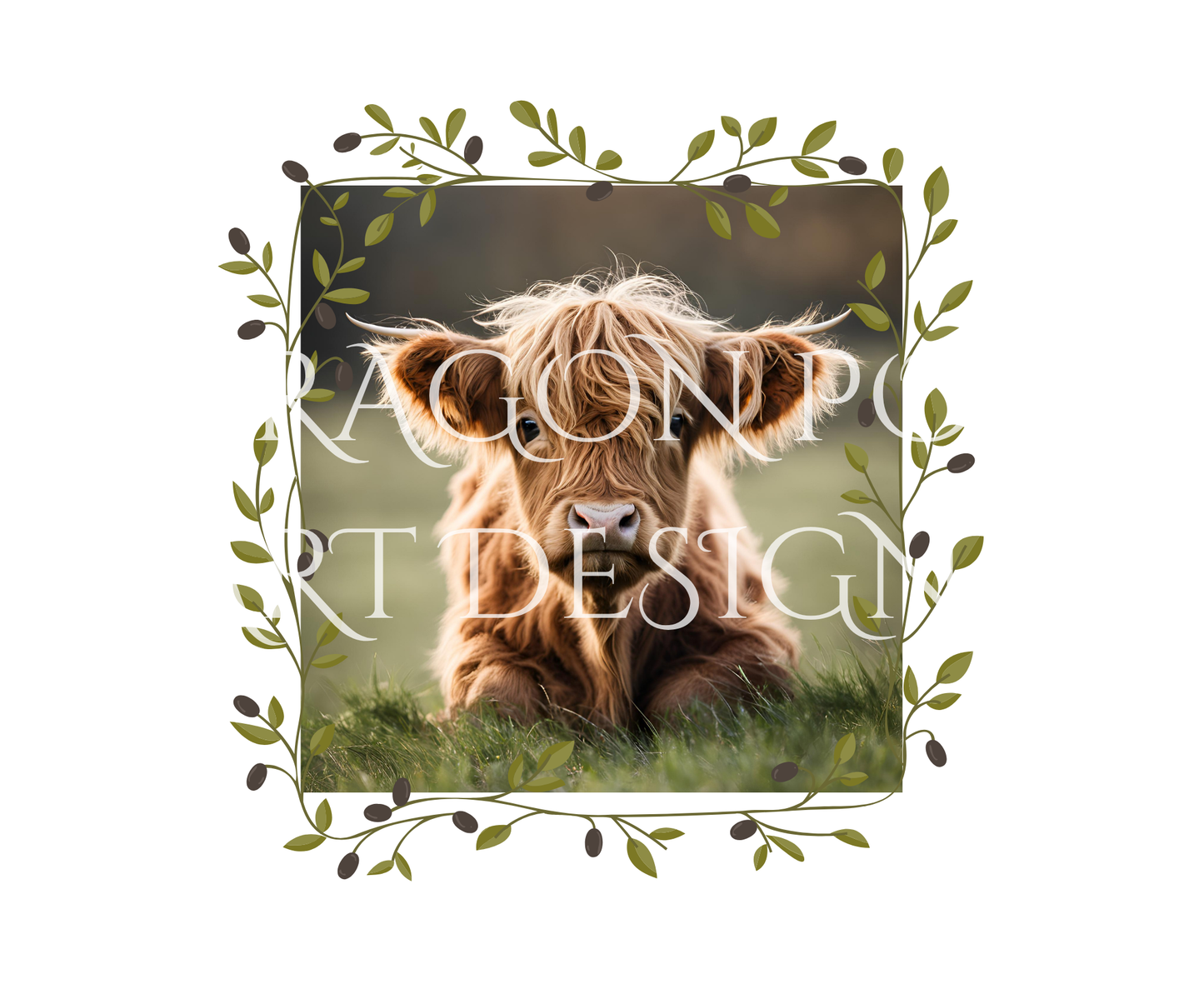 Highland Calf