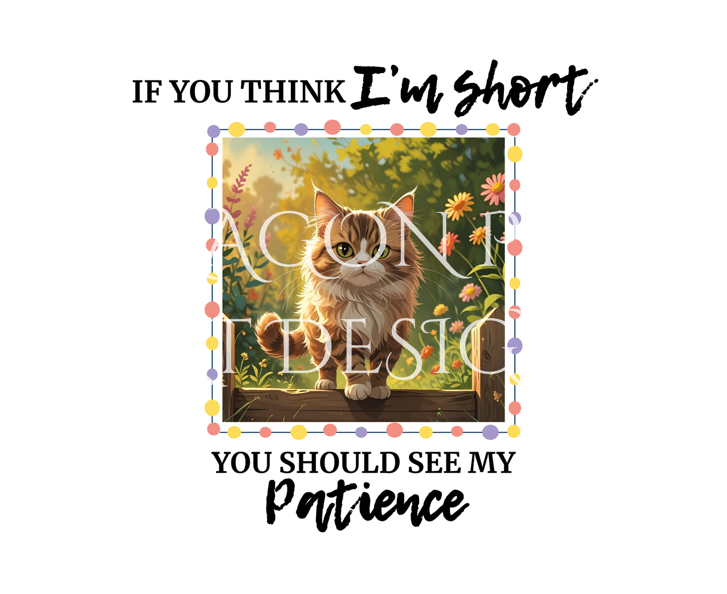 I'm Short Cat